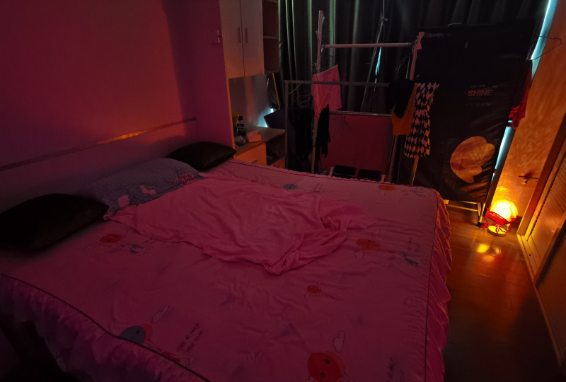 越秀广东熟女苏玲